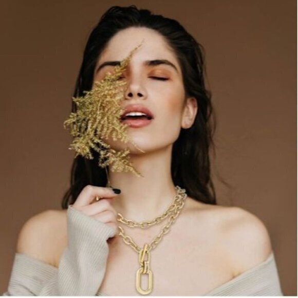 18K Gold Plated Layered Chunky Paperclip Toggle Link Necklace Set NWT - Picture 10 of 10